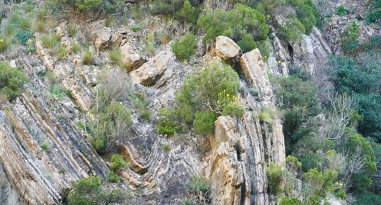 Plis dans les calcaires dévoniens des Gorges du Termenet