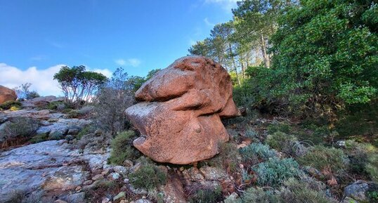 Corse - Piana - Monzogranite