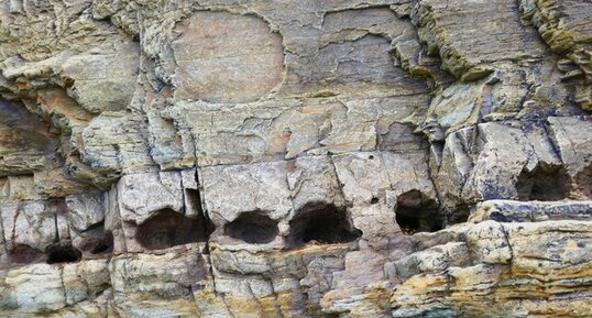 Schistes et grès de Carteret