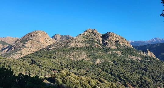 Corse - Ocana - Punta d'Arese -Granite Perthitique à Hastingsite-fayalite