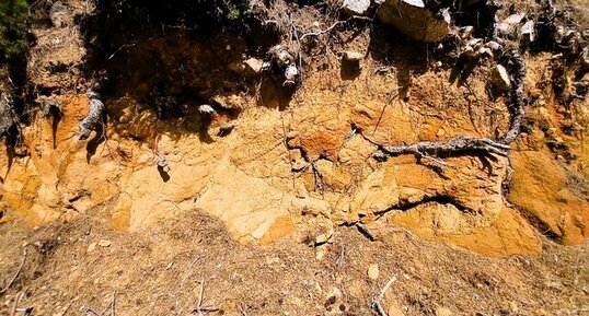 Saprolite