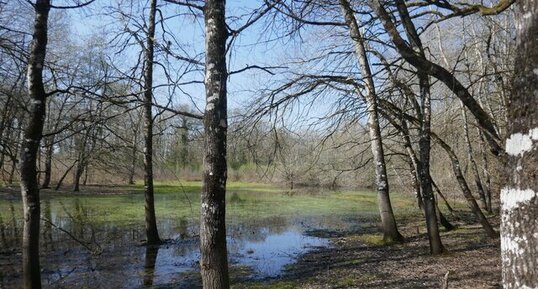 La grande Doline de Limère.