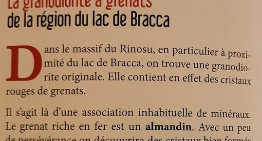 Corse - Bocognano - Granodiorite à Grenats