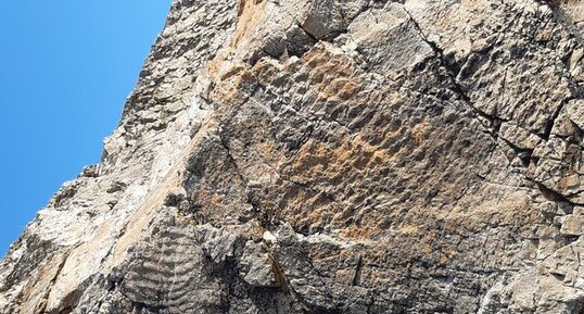 Rides de plage ou ripper marks