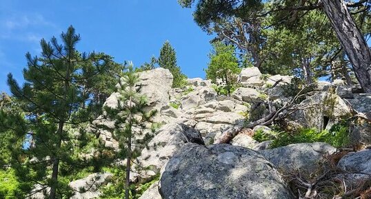 Corse - Ghisoni - Punta Chiova - Granite Alcalin