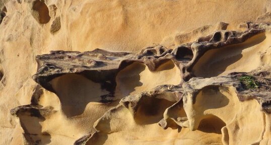 Taffoni (flysch gréseux de Jaizibel)