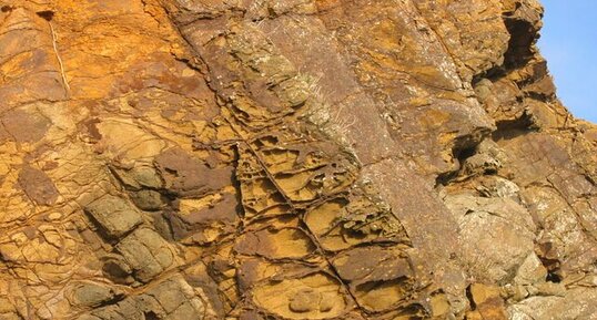 Détail de falaise à la pointe de Kerdra