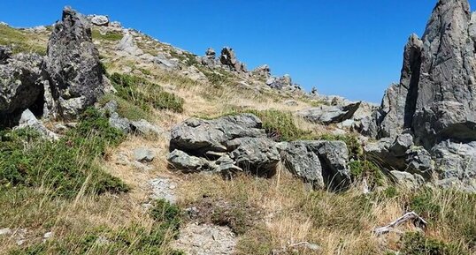 Corse - Vivario - Bocca Palmente - Granodiorite