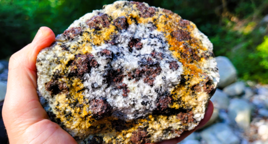 Monzogranodiorite à grenats