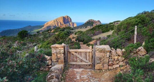 Corse - Piana - Capu Rossu - Granite Perthitique à Arfvedsonite