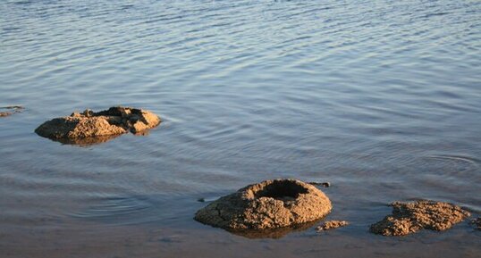 Stromatolithes du Lac Thetis