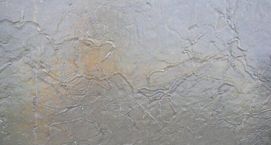 Traces fossiles dans les grès carbonifères des falaises de Moher