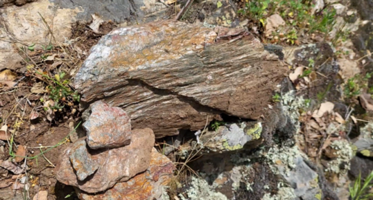 Corse - Zicavo - Micaschistes