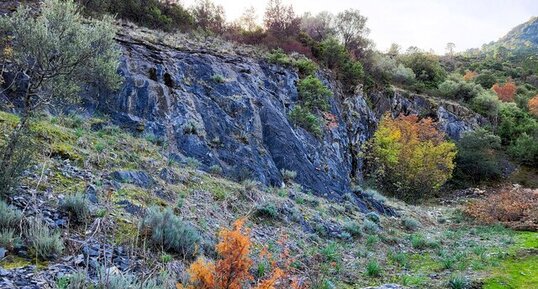 Marbre noir de Corte