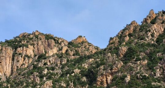 Corse - Arbori - Mercolaccia - Gneiss Anatectique