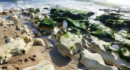 Lapiez de l'estran de la plage du Platin (St Palais-sur-mer)