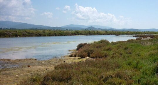 Vieux salins d'Hyères