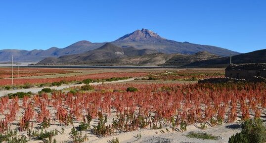 Volcan explosif du Tunupa