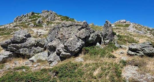 Corse - Vivario - Bocca Palmente - Granodiorite