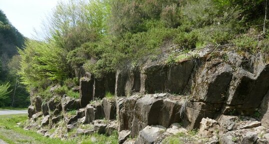 Prisme dans coulée d'andésite Crétacé.