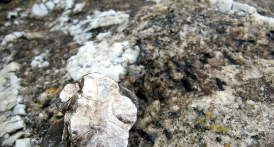 échantillon de mica blanc