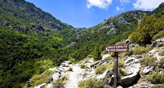 Métabasaltes