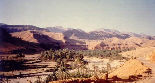 Vallée dans les Aurès