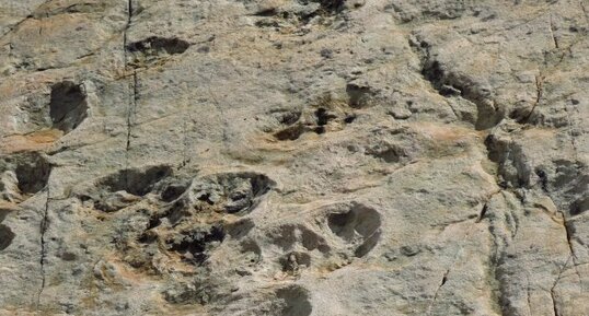 empreintes d'archausaures de Vieux Emosson