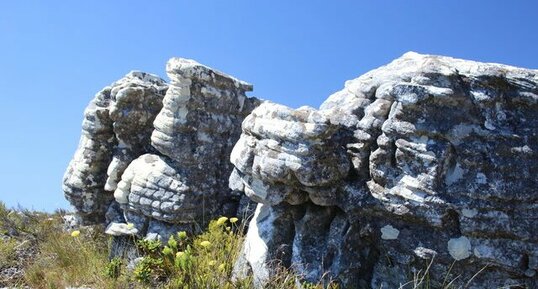 Grès, Table mountain, Cape Town, Afrique du Sud