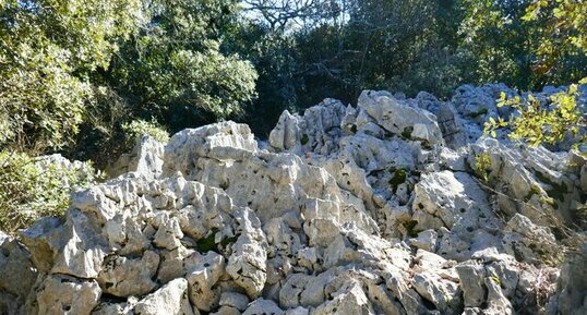 Lapiez dans la montagne de la Séranne.