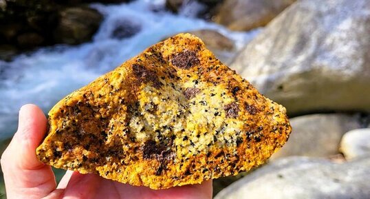 Monzogranodiorite à grenats