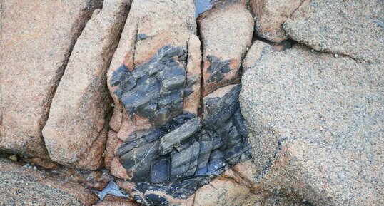 Enclave dans le granite de la Grève rose de Trégastel.