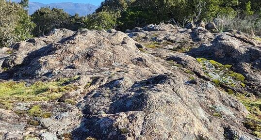 Corse - Cauro - Muratello - Granite Perthitique Hastingsite-Fayalite