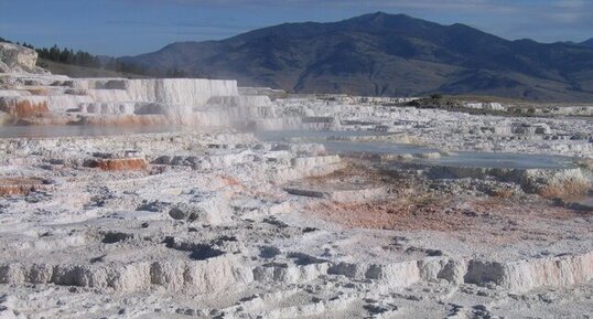 Gourres calcaires à Mammoth Springs, Yellowstone N.P.