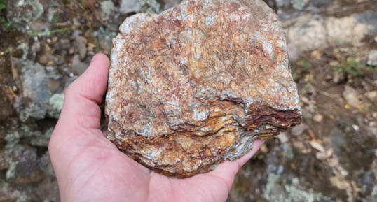 Corse - Zicavo - Micaschistes