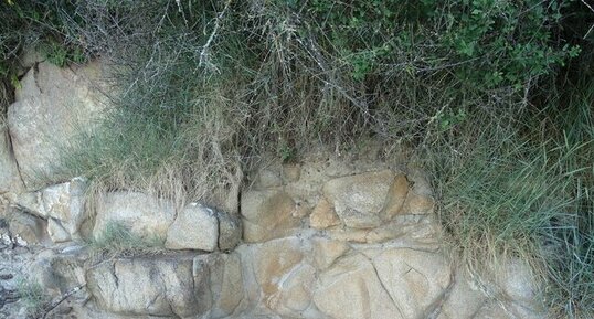 A l'ouest de la petite plage du chemin de la Villa Mine - Saint - Nazaire (44)