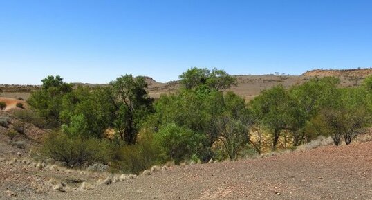 Cratères de météorites d'Henbury (Australie)