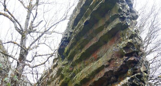 Prismations basaltiques du Rocher du Brion