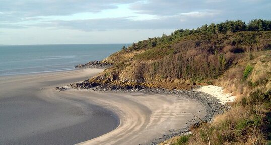 Littoral de la baie de St Brieuc (Hillion)