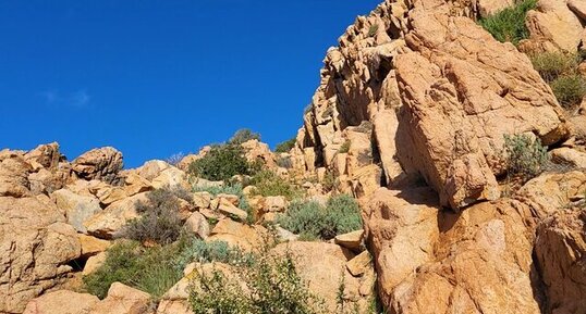 Corse - Piana - Capu Rossu - Granite Perthitique à Arfvedsonite