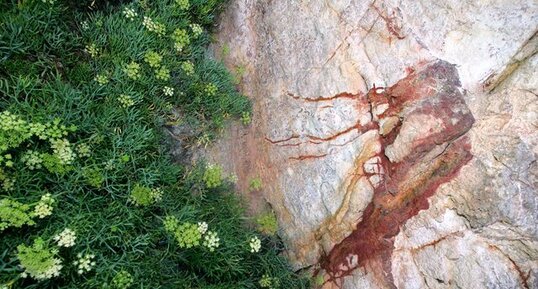 "Roche de Lascaux" à Tromel