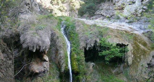 Tuf calcaire de la cascade de l'Adoux