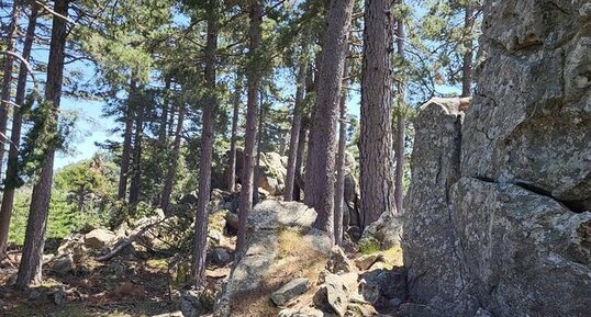 Corse - Ghisoni - Punta Chiova - Granite Alcalin