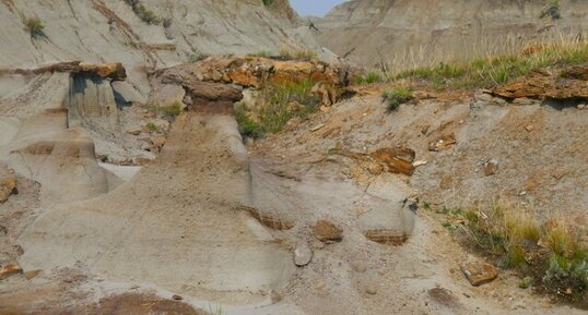 Hoodoos (demoiselle coiffée) dans Dinosaur P.P.