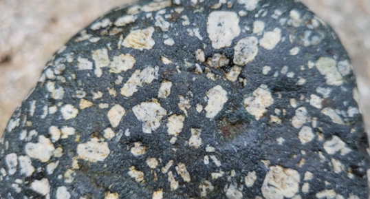 Corse - Bocognano - GABBRO