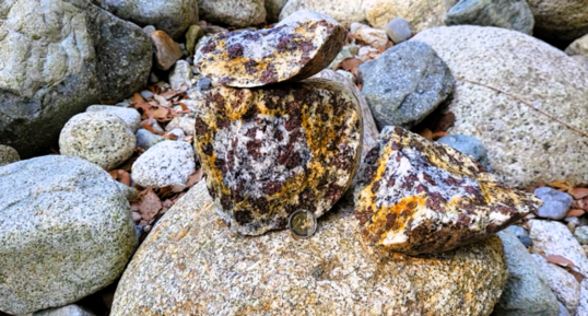 Monzogranodiorite à grenats