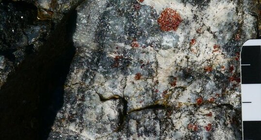 Grenats dans les leptynites des gorges du Doux