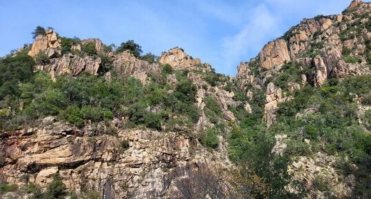 Corse - Arbori - Mercolaccia - Gneiss Anatectique