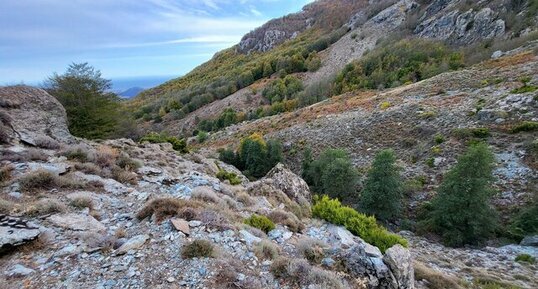 Corse - Carcheto - Métabasaltes et Métagabbros