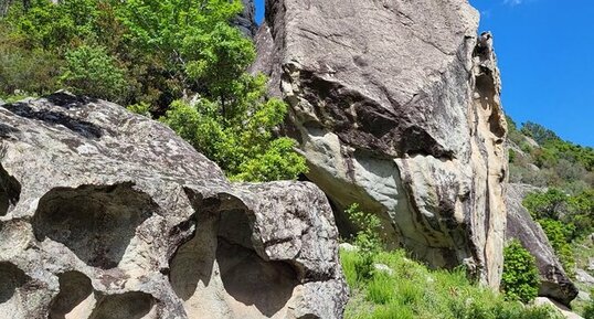 Corse - Venaco - Verghellu - Granite monzonitique leucocrate à grenats